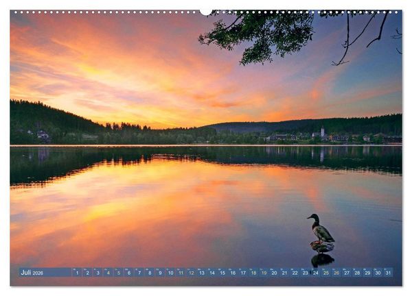 Produktbild: Schwarzwald - M&auml;rchenwald (hochwertiger Premium Wandkalender 2026 DIN A2 quer), Kunstdruck in Hochglanz