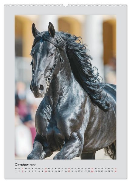 Produktbild: Friesenpferde. Schwarze Eleganz in der Natur (hochwertiger Premium Wandkalender 2027 DIN A2 hoch), Kunstdruck in Hochglanz