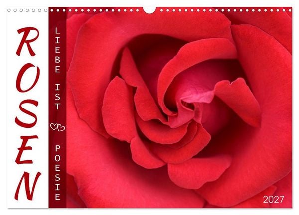 Produktbild: Rosen, Liebe ist (Wandkalender 2027 DIN A3 quer), CALVENDO Monatskalender
