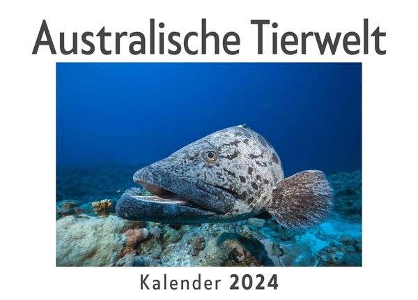 Produktbild: Australische Tierwelt (Wandkalender 2024, Kalender DIN A4 quer, Monatskalender im Querformat mit Kalendarium, Das perfekte Geschenk)