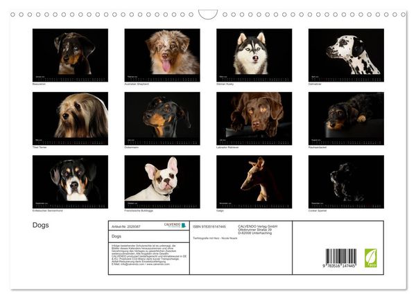 Produktbild: Dogs (Wandkalender 2026 DIN A3 quer), CALVENDO Monatskalender