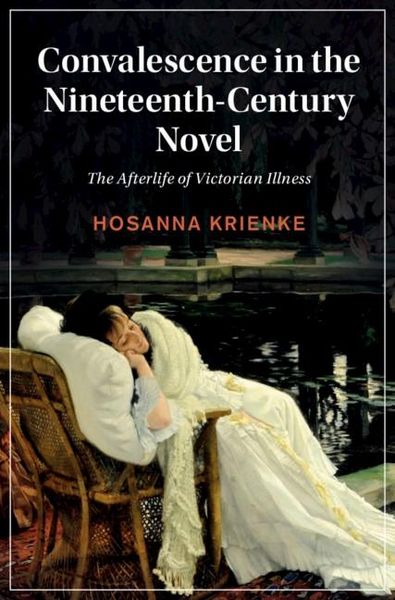 Produktbild: Convalescence in the Nineteenth-Century Novel