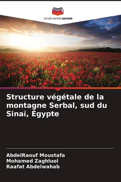 Produktbild: Structure v&eacute;g&eacute;tale de la montagne Serbal, sud du Sina&iuml;, &Eacute;gypte