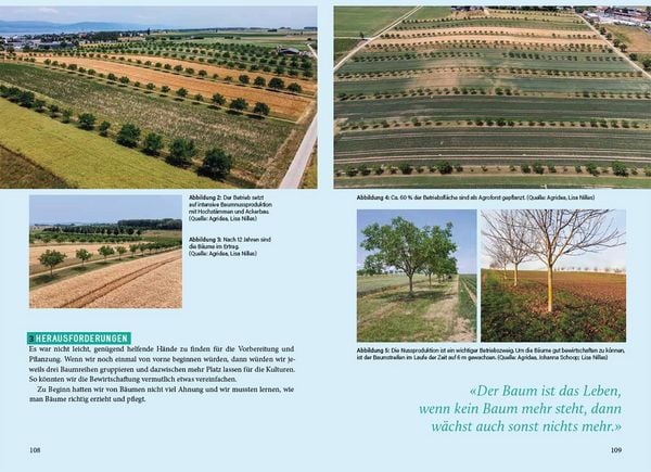 Produktbild: Agroforstpraxis in der Schweiz