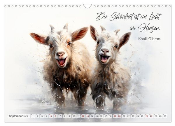 Produktbild: MOTIVATION Spr&uuml;che mit s&uuml;&szlig;en Tierkindern (Wandkalender 2026 DIN A3 quer), CALVENDO Monatskalender