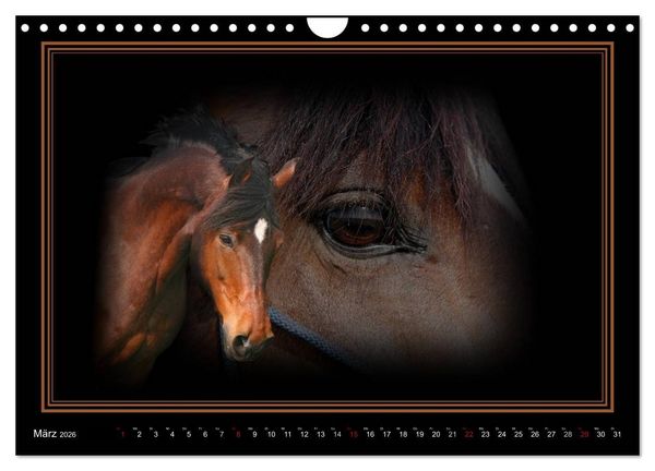 Produktbild: Traumpferde-ART-Collection (Wandkalender 2026 DIN A4 quer), CALVENDO Monatskalender