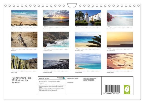 Produktbild: Fuerteventura - die W&uuml;steninsel der Kanaren (Wandkalender 2026 DIN A4 quer), CALVENDO Monatskalender