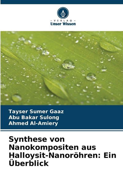 Produktbild: Synthese von Nanokompositen aus Halloysit-Nanor&ouml;hren: Ein &Uuml;berblick