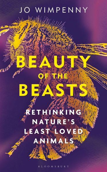 Produktbild: Beauty of the Beasts