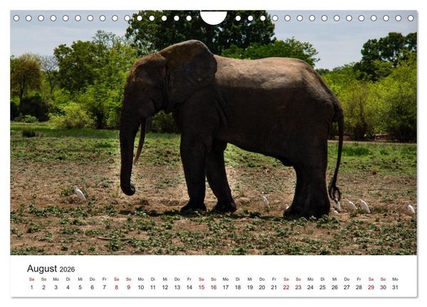 Produktbild: Eine Reise durch Ghana (Wandkalender 2026 DIN A4 quer), CALVENDO Monatskalender