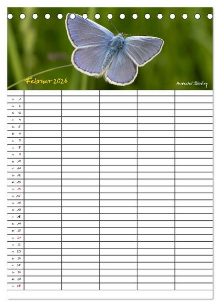 Produktbild: Schmetterlinge in Bayern (Tischkalender 2026 DIN A5 hoch), CALVENDO Monatskalender