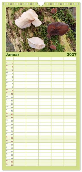 Produktbild: Familienplaner 2027 - Pilze - tolle Funde mit 5 Spalten (Wandkalender, 21 x 45 cm) CALVENDO