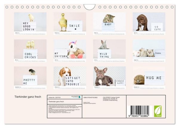 Produktbild: Tierkinder ganz frech (Wandkalender 2026 DIN A4 quer), CALVENDO Monatskalender