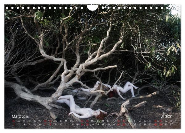 Produktbild: Poesie der Stille &ndash; Akt in der Natur (Wandkalender 2026 DIN A4 quer), CALVENDO Monatskalender