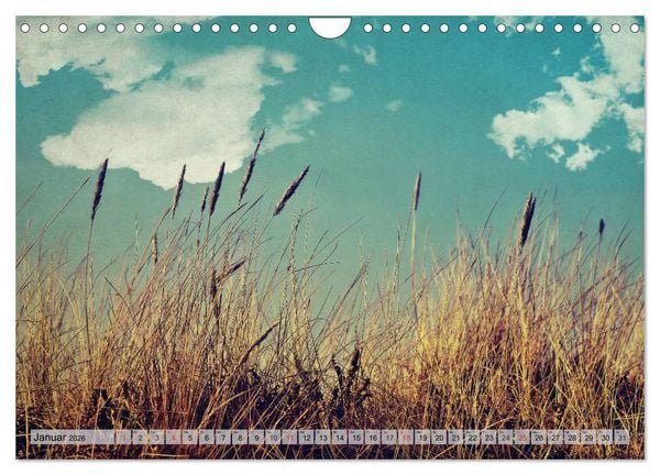 Produktbild: AMRUM Art (Wandkalender 2026 DIN A4 quer), CALVENDO Monatskalender