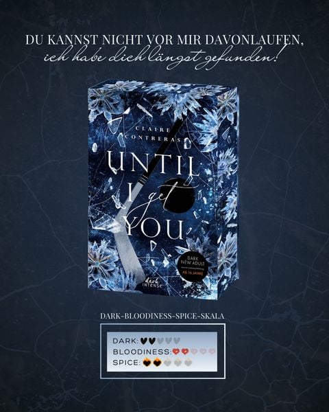 Produktbild: Until I Get You (Fairview Hockey, Band 1)