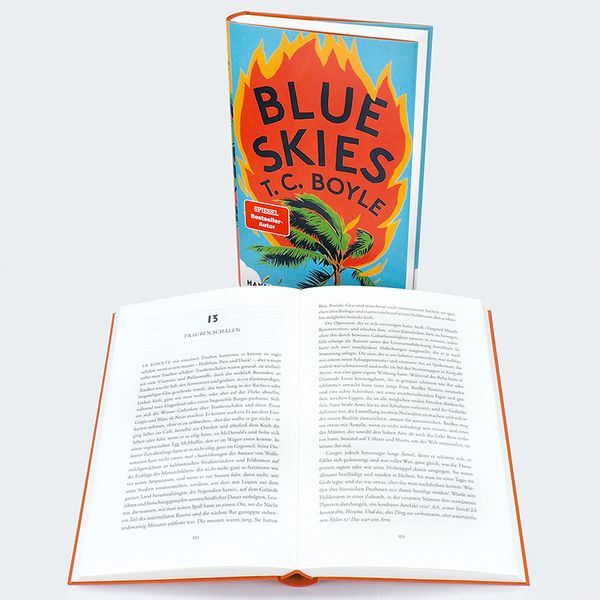 Produktbild: Blue Skies