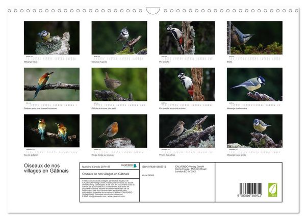 Produktbild: Oiseaux de nos villages en G&acirc;tinais (Calendrier mural 2026 DIN A3 vertical), CALVENDO calendrier mensuel