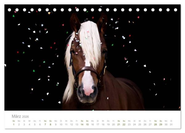 Produktbild: Faszination Schwarzw&auml;lder Kaltblut (Tischkalender 2026 DIN A5 quer), CALVENDO Monatskalender