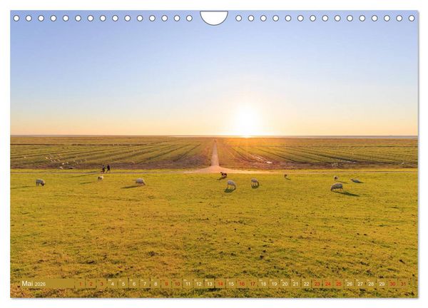 Produktbild: Einmaliges Westerhever (Wandkalender 2026 DIN A4 quer), CALVENDO Monatskalender