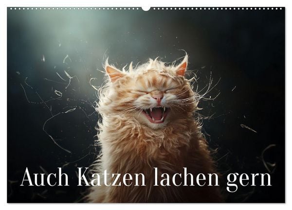 Produktbild: Auch Katzen lachen gern (Wandkalender 2026 DIN A2 quer), CALVENDO Monatskalender