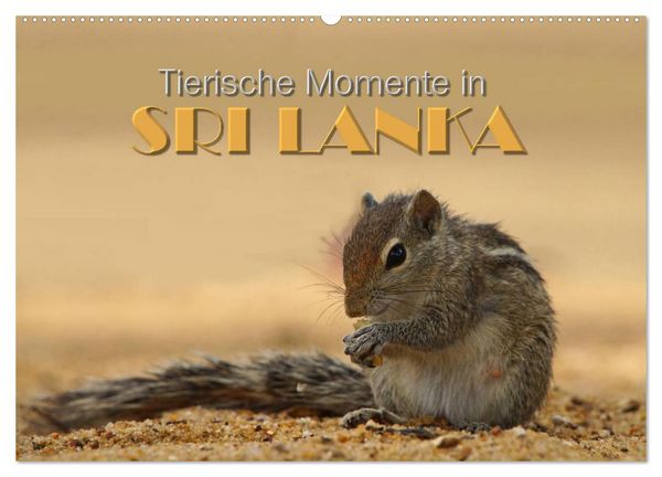 Produktbild: Sri Lanka - Tierische Momente (Wandkalender 2026 DIN A2 quer), CALVENDO Monatskalender