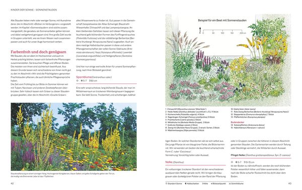 Produktbild: Das BLV Handbuch Stauden
