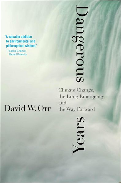 Produktbild: Dangerous Years