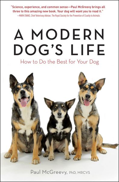 Produktbild: A Modern Dog's Life