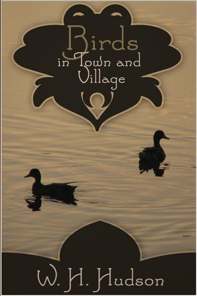 Produktbild: Birds in Town and Village