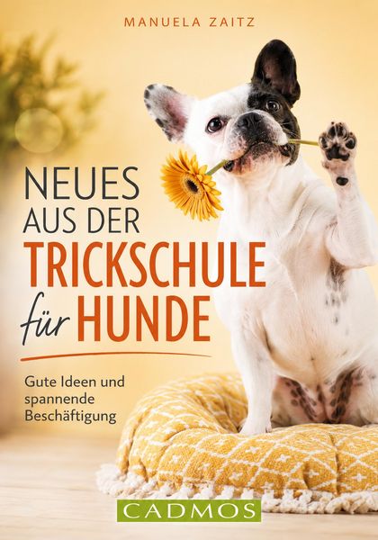 Produktbild: Neues aus der Trickschule f&uuml;r Hunde