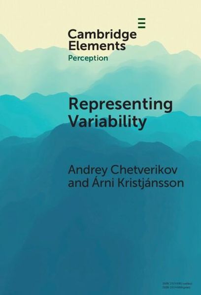 Produktbild: Representing Variability
