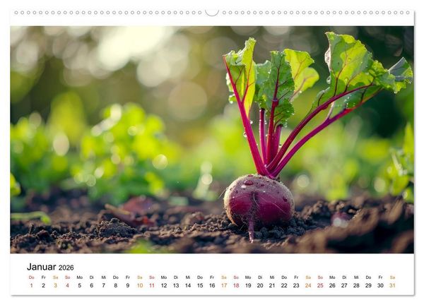 Produktbild: Gem&uuml;se f&uuml;r Gourmets (hochwertiger Premium Wandkalender 2026 DIN A2 quer), Kunstdruck in Hochglanz