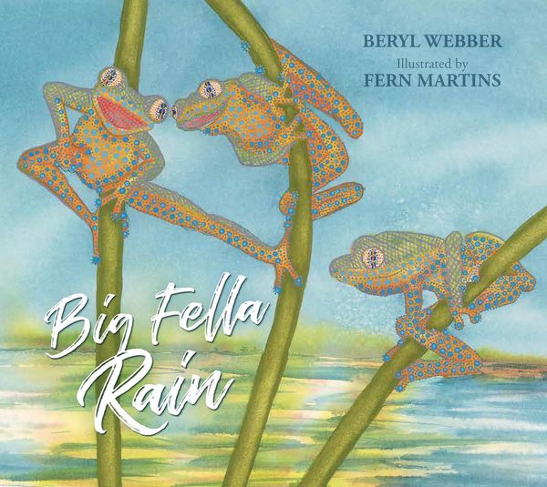 Produktbild: Big Fella Rain