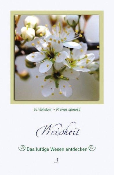 Produktbild: Magische Pflanzenbilder