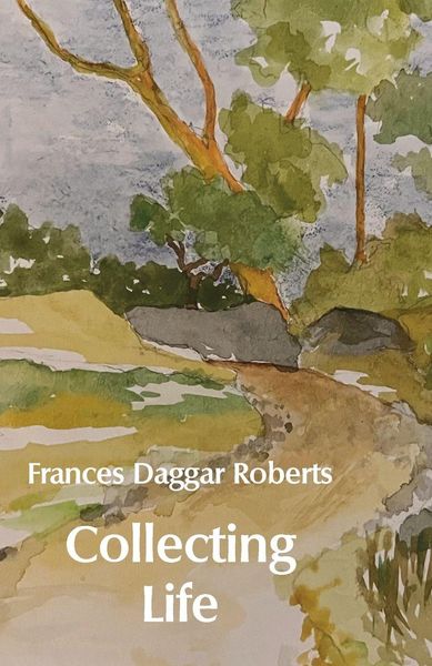 Produktbild: Collecting Life