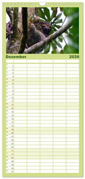 Produktbild: Familienplaner 2026 - Abh&auml;ngen - Faultier mit 5 Spalten (Wandkalender, 21 x 45 cm) CALVENDO