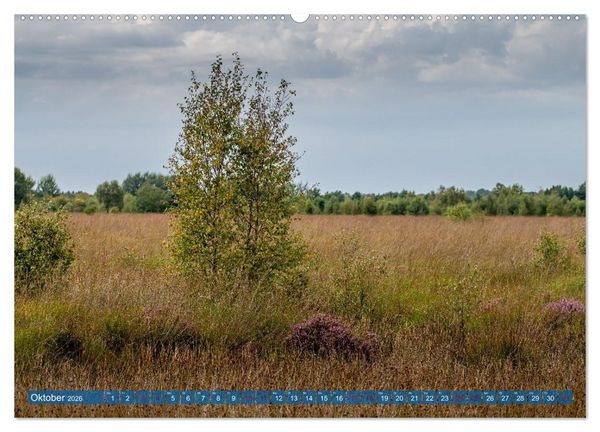 Produktbild: Greetsiel, die ostfriesische Perle und seine Umgebung (Wandkalender 2026 DIN A2 quer), CALVENDO Monatskalender