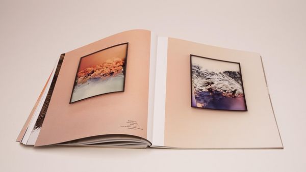 Produktbild: Angelika J. Trojnarski &ndash; Noble Earth