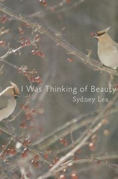 Produktbild: I Was Thinking of Beauty