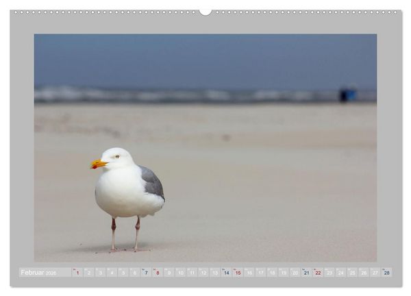 Produktbild: Juist - Kleine Insel, Gro&szlig;e Freiheit (hochwertiger Premium Wandkalender 2026 DIN A2 quer), Kunstdruck in Hochglanz