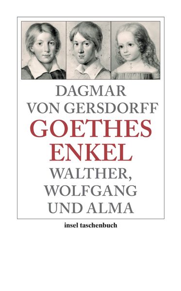 Produktbild: Goethes Enkel