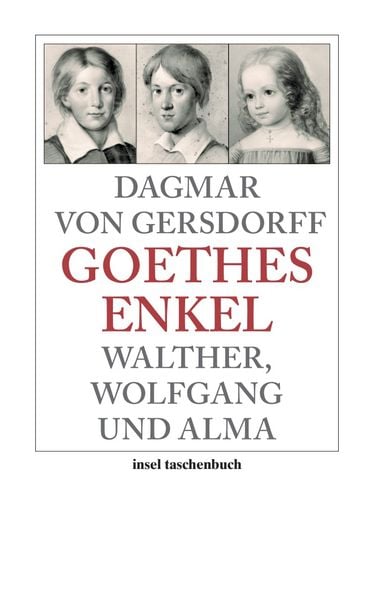 Produktbild: Goethes Enkel