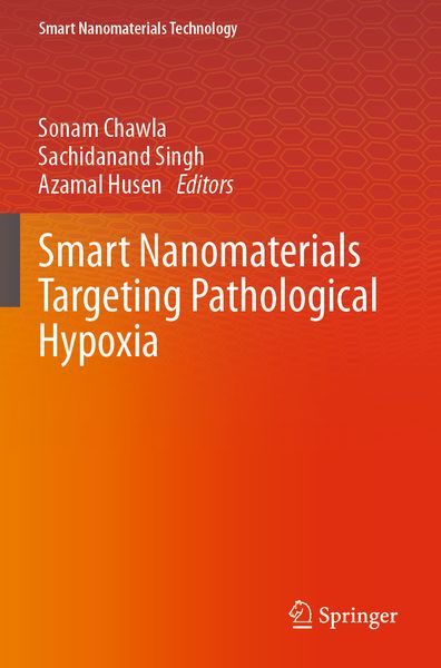 Produktbild: Smart Nanomaterials Targeting Pathological Hypoxia
