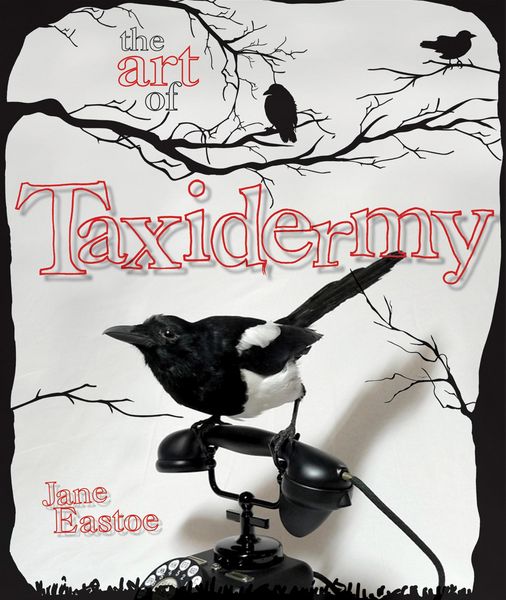 Produktbild: The Art of Taxidermy