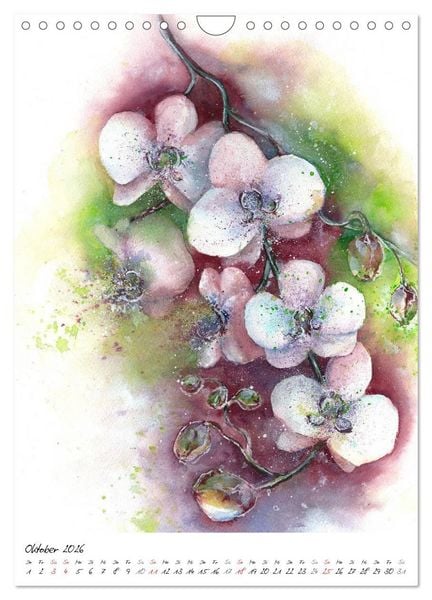 Produktbild: Bl&uuml;tenaquarelle (Wandkalender 2026 DIN A4 hoch), CALVENDO Monatskalender