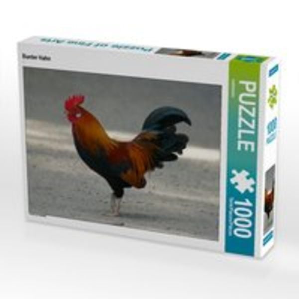 CALVENDO Puzzle Bunter Hahn 1000 Teile Lege-Größe 64 x 48 cm Foto-Puzzle Bild von kattobello