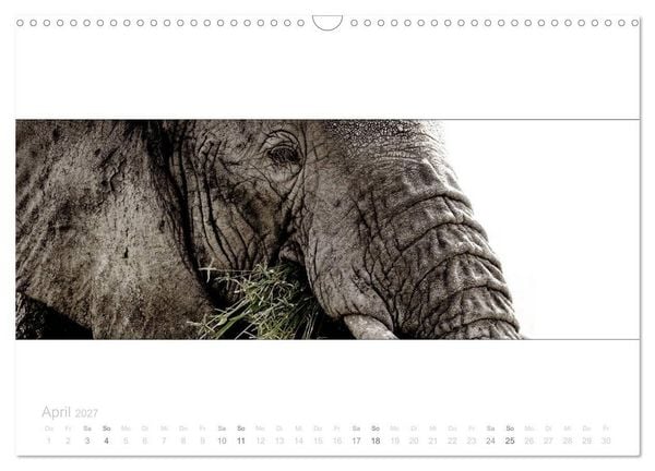 Produktbild: Serengeti Panorama (Wandkalender 2027 DIN A3 quer), CALVENDO Monatskalender