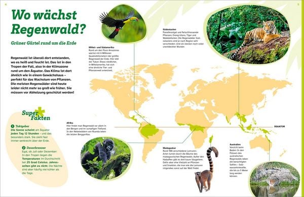 Produktbild: WAS IST WAS Regenwald. Wilde grüne Welt