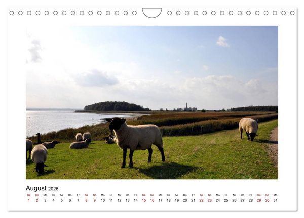 Produktbild: Fehmarn - Bewegende Momente (Wandkalender 2026 DIN A4 quer), CALVENDO Monatskalender